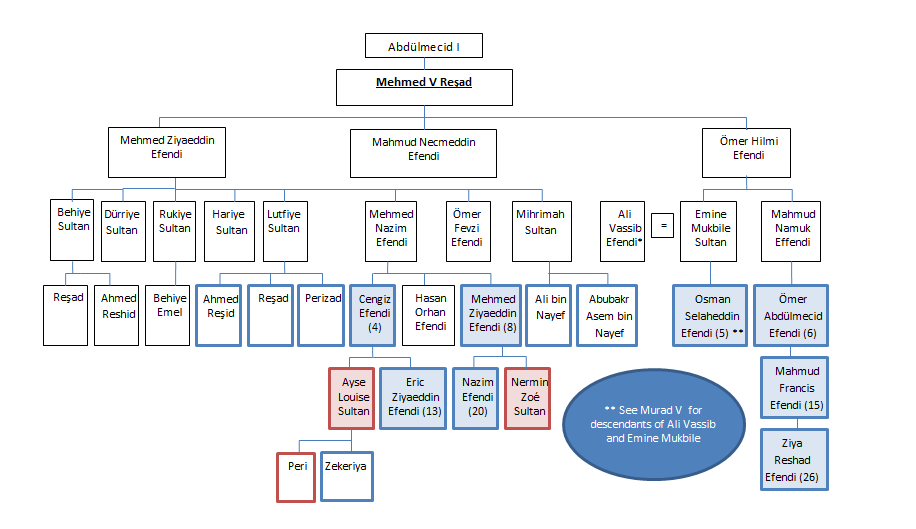 Family tree showing descent from Sultan Mehmed V Reshad