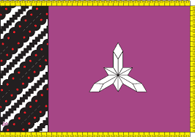 Flag of Borshchivskiy Raion in Ternopil Oblast.png