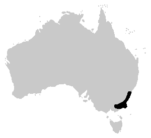 File:Lesueurii range.png