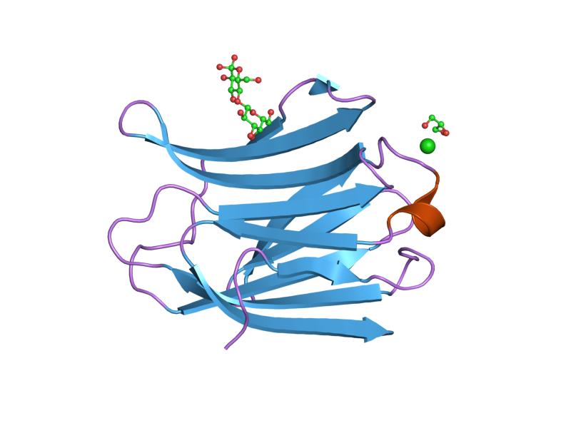 File:PDB 2nn8 EBI.jpg