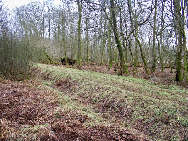 File:Scots' Dike - geograph.org.uk - 1706629.jpg