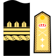 Spanish Navy Marines (General de división)