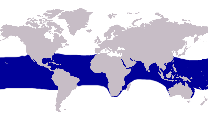 File:Alectis ciliaris distribution.PNG