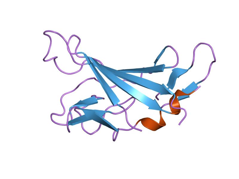 File:PDB 1gp3 EBI.jpg