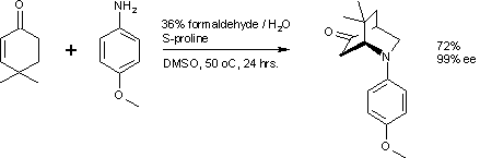 S-proline enantioselective Aza Diels-Alder reaction