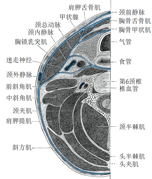 File:Gray384 zh.png