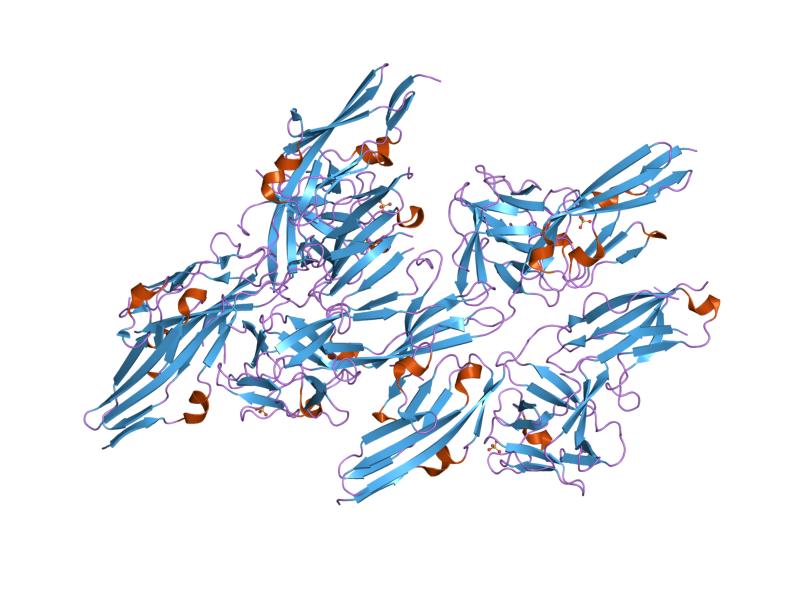 File:PDB 1ev2 EBI.jpg