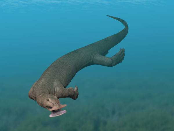 File:Atopodentosaurus small.jpg