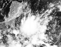 File:Tropical Storm Domeng on 2010-08-03.png