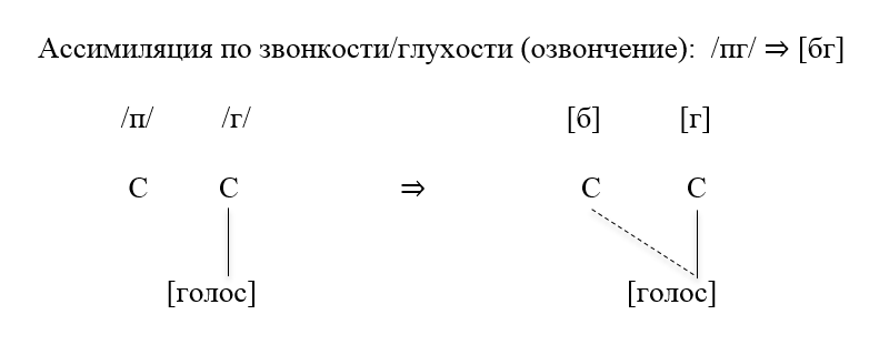 Ассимиляция по звонкости/глухости (озвончение)