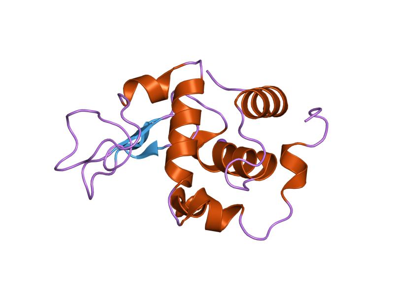 File:PDB 1gby EBI.jpg