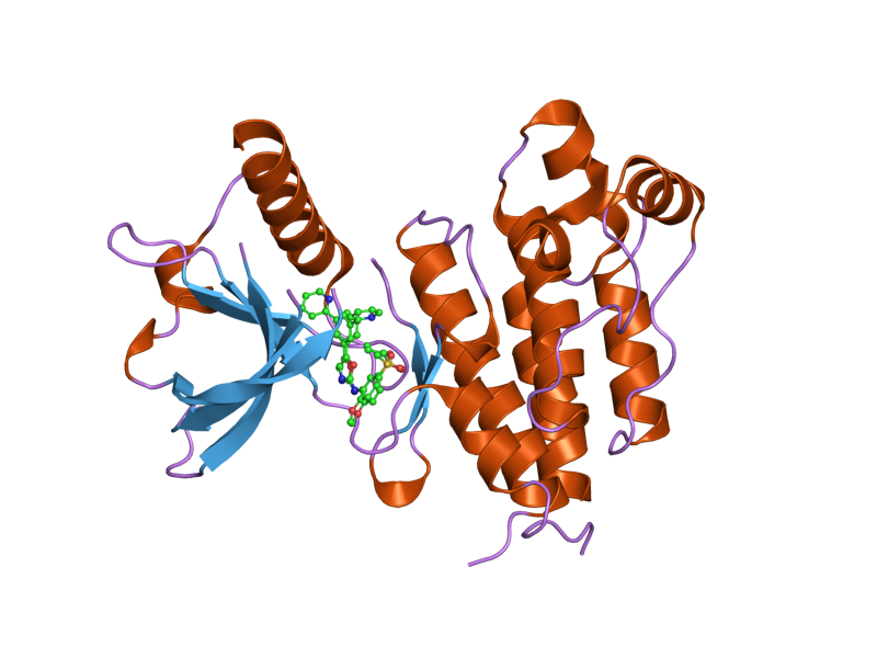 File:PDB 1y6a EBI.png