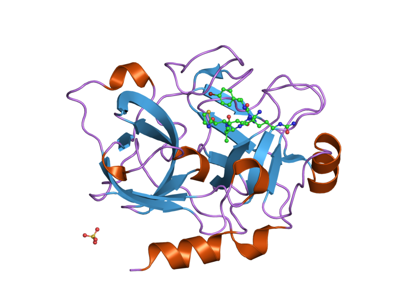 File:PDB 1zom EBI.png