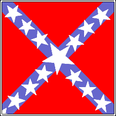 File:Flag of Terry's Texas Rangers.gif