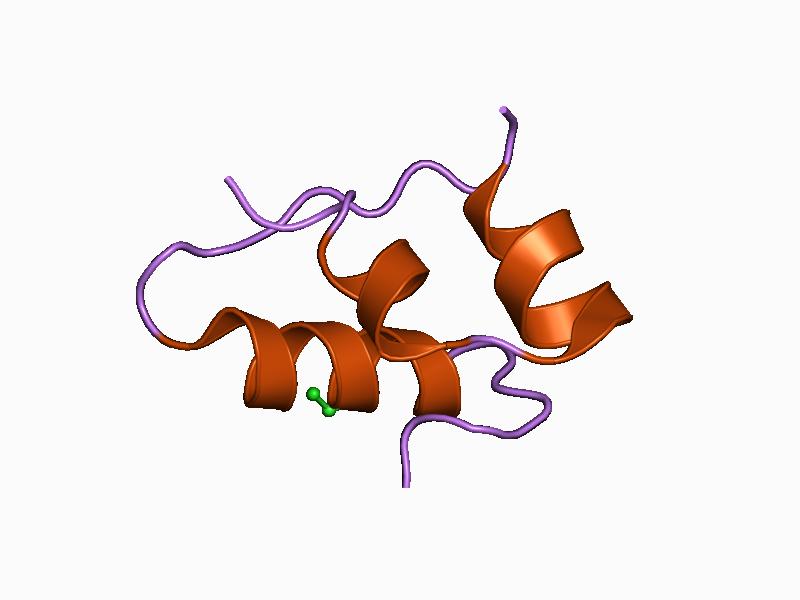 File:PDB 1aph EBI.jpg