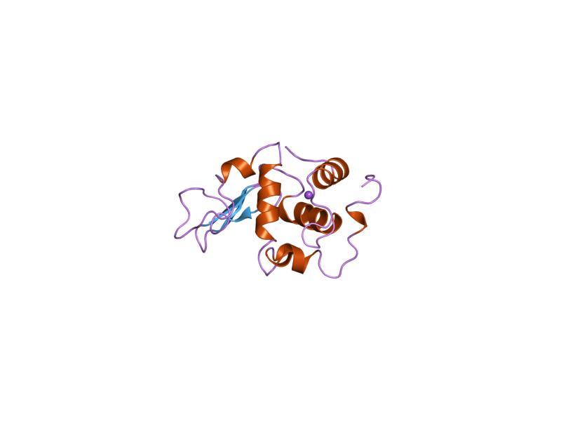 File:PDB 1oua EBI.jpg