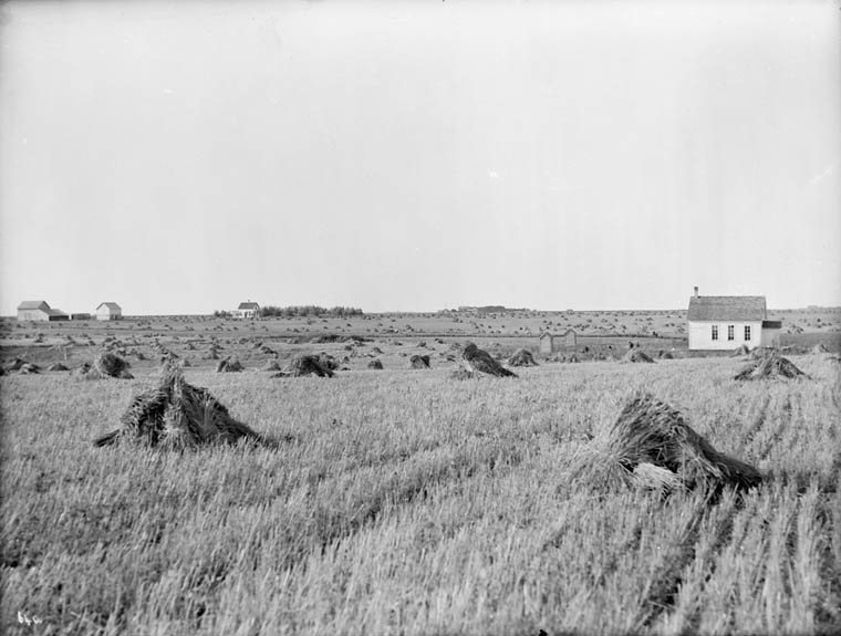 File:School house, farms etc., Morden, Manitoba.jpg