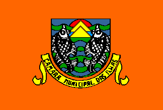 File:Flag of Ilhas Municipality.gif