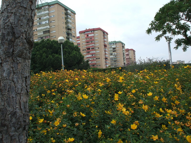 Archivo:Foto del barrio de Gornal.JPG