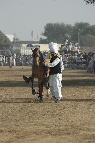 File:Malik Ata with one of his dancing horses.jpg