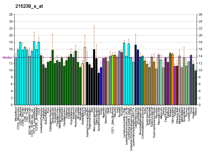 File:PBB GE DOCK9 215238 s at fs.png