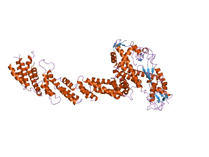 File:PDB 1ldj EBI.jpg