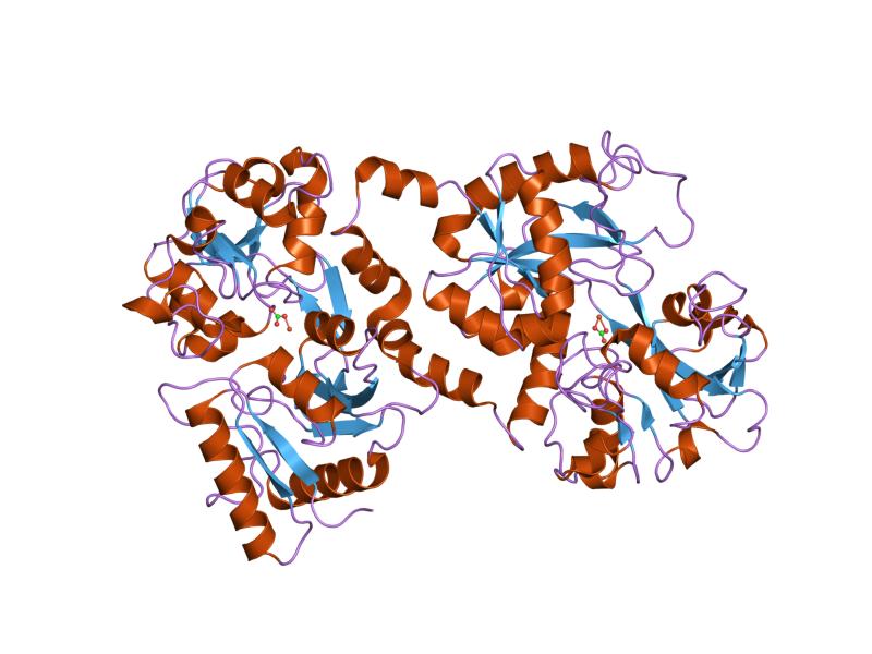 File:PDB 1n76 EBI.jpg