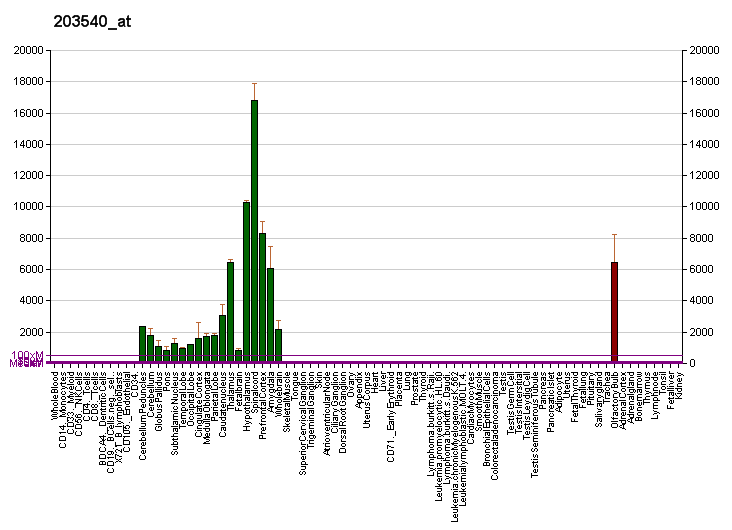 File:PBB GE GFAP 203540 at fs.png