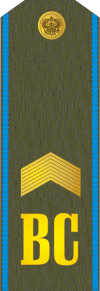 File:RFAF - Senior Sergeant - Every day green.png