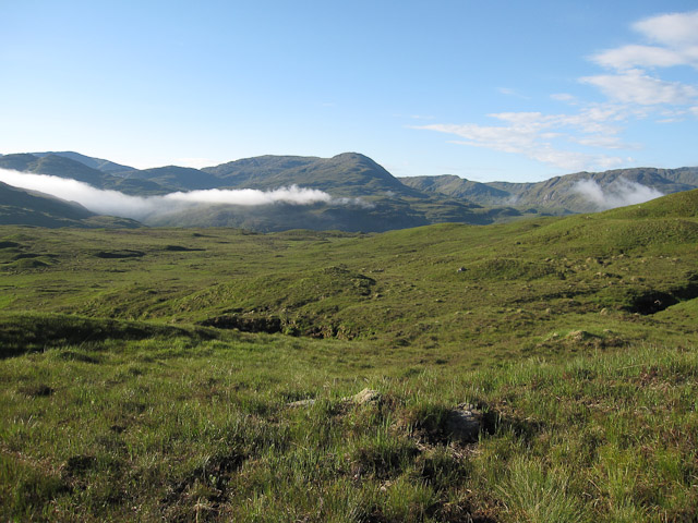 File:Attadale Forest - geograph.org.uk - 1569744.jpg