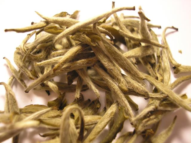 File:Bai Hao Yin Zhen tea leaf (Fuding).jpg