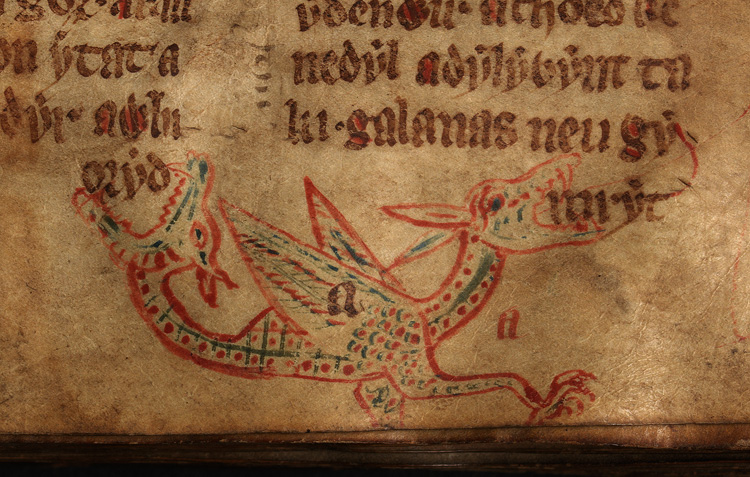 File:F. 21r. Wyvern.jpg