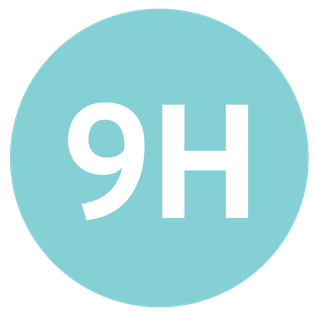 File:Transjakarta Non-BRT Route 9H Icon.png