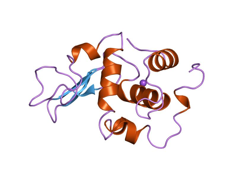 File:PDB 1ouh EBI.jpg