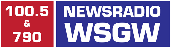 File:WSGW 100.5-790Newsradio logo.png