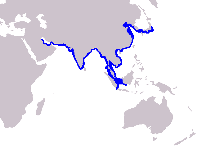 File:Cetacea range map Finless Porpoise.PNG