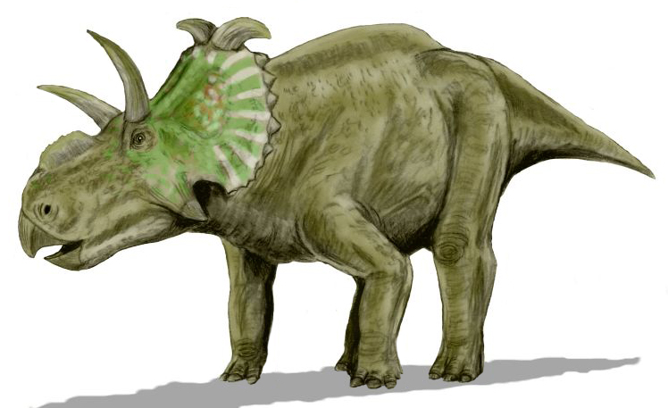 Файл:Albertaceratops BW.jpg