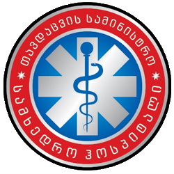 File:Military Hospital of MoD Georgia Emblem.png