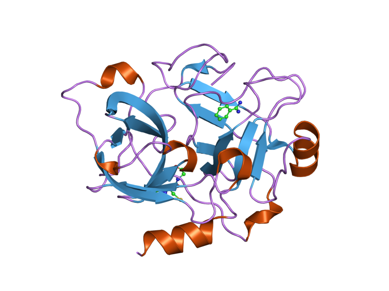 File:PDB 1zhp EBI.png