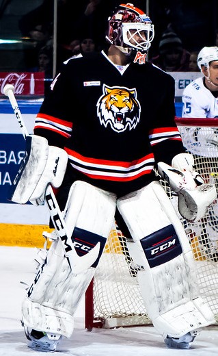 Файл:Alexander Pechursky 2016-01-29 (cropped).jpg