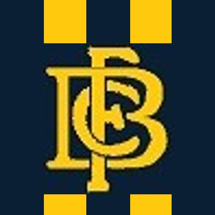 File:Bendigo Gold Football Club colours.jpg