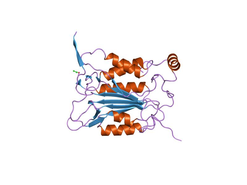 File:PDB 1ibc EBI.jpg