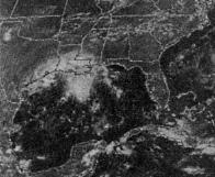 Archivo:Tropical Storm Danielle (1980).JPG