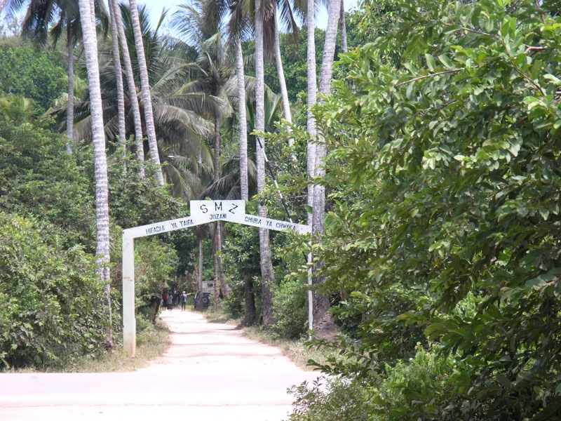 File:Jozani forest, Zanzibar.jpg