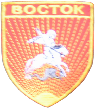 File:Vostok Brigade SSI (2015).png