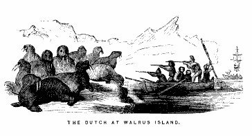 Archivo:Barents Walrus.png