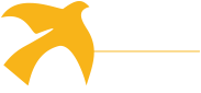 Miniatura para Fondo Regional para la Innovación Digital en América Latina y el Caribe (FRIDA)