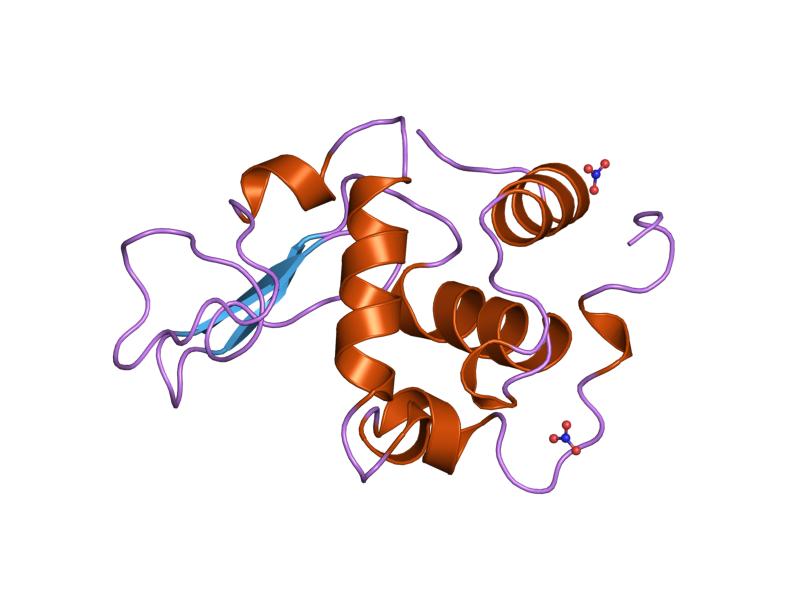 File:PDB 1jkd EBI.jpg