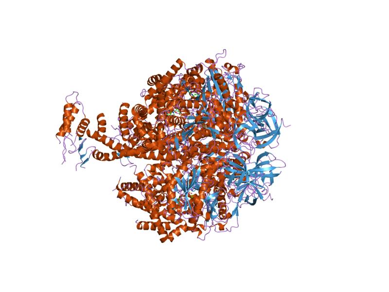 File:PDB 2jdi EBI.jpg