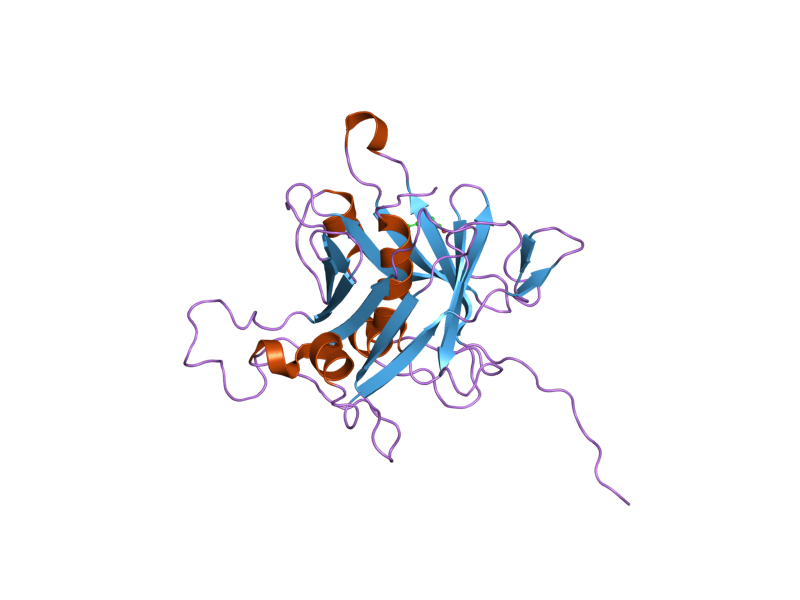 File:PDB 1s31 EBI.png